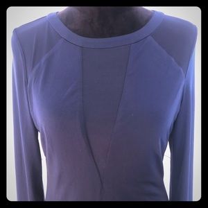 Express Long Sleeve Dress with Sheer Cutouts